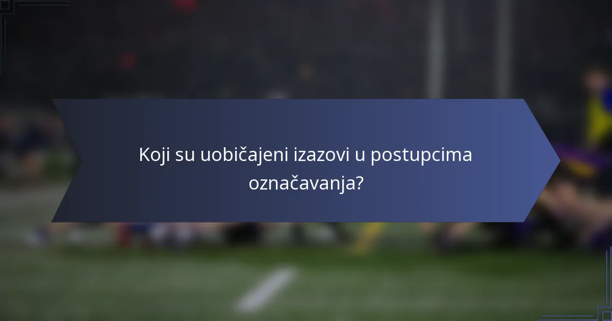 Koji su uobičajeni izazovi u postupcima označavanja?